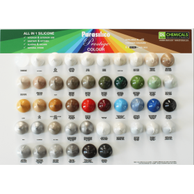 Silicone - Parasilico Prestige Colour - DL CHEMICALS