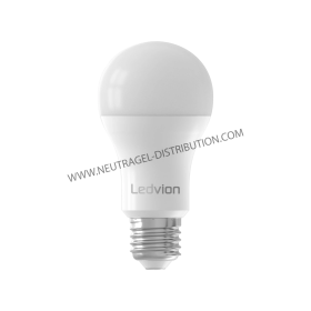 Ampoule LED E27 6 W 6000°K