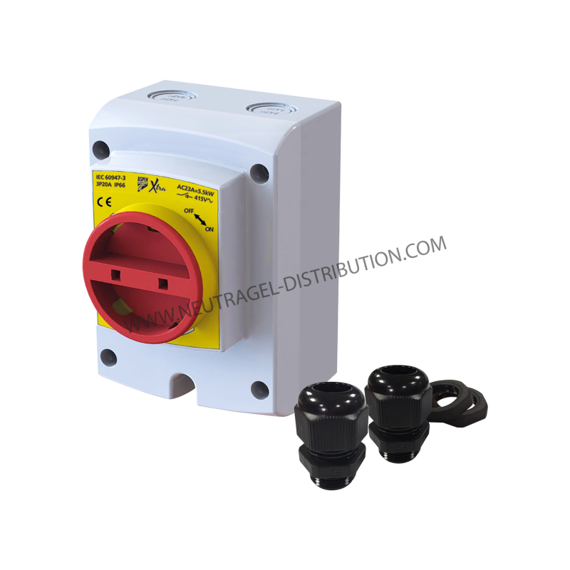 COFFRET DE PROTECTION 4P 40A IP 66