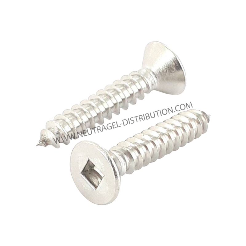 Vis empreinte carrée 19 mm