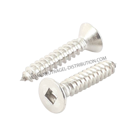 Vis empreinte carrée 19 mm