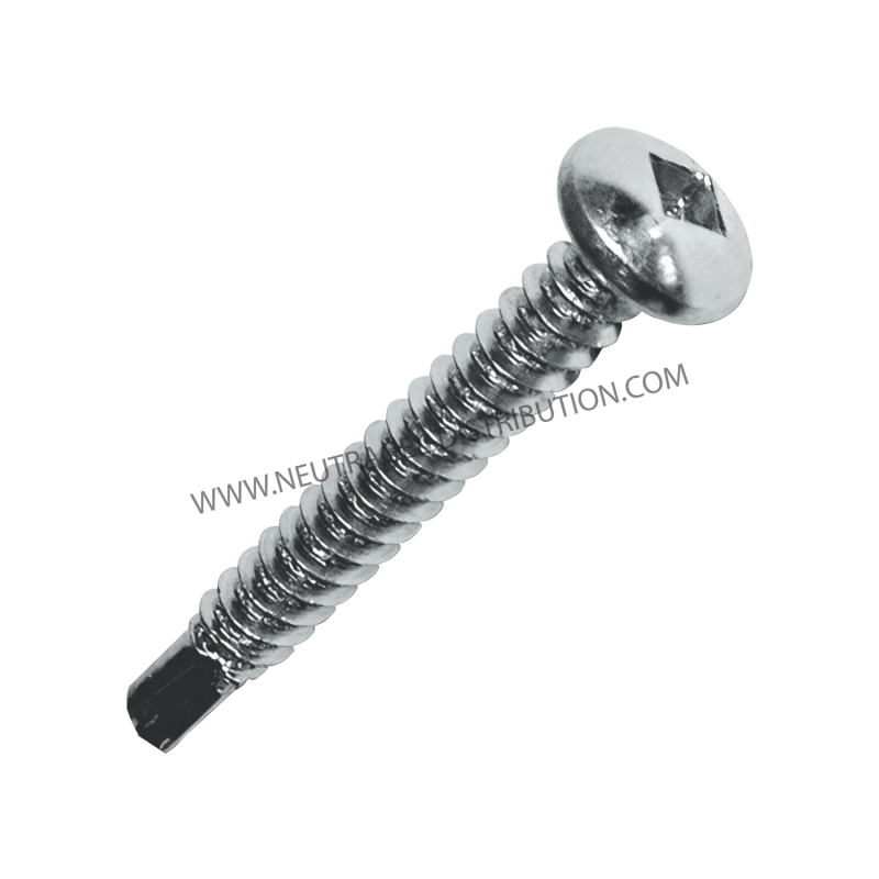 Vis empreinte carrée 32 mm