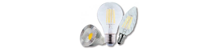 Ampoules LED